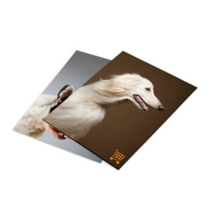 Bedrukte Reclameposters