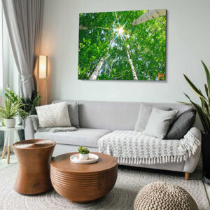 Textielframe met doek (zwart)